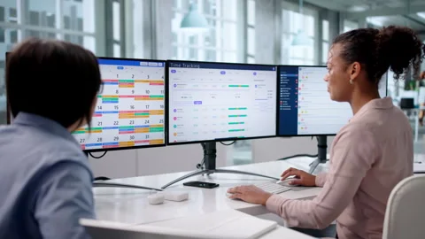 HR Managers Using Time Tracking Software Stock Footage 330252756