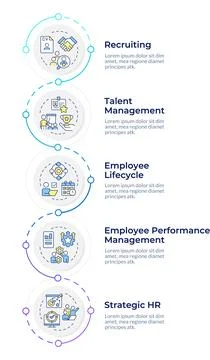 HR process infographic vertical sequence Illustrazione stock
