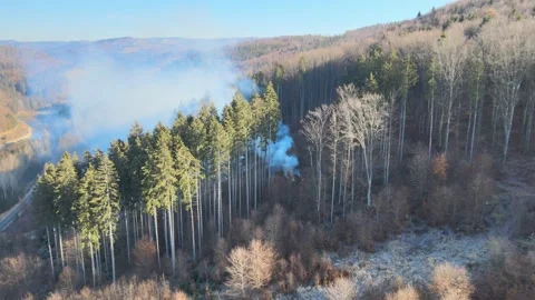 Hrinova lake Stock Footage 166077093