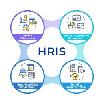 HRIS infographic circles flowchart 스톡 일러스트