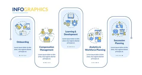 HRMS rectangle infographic vector Stock Illustration