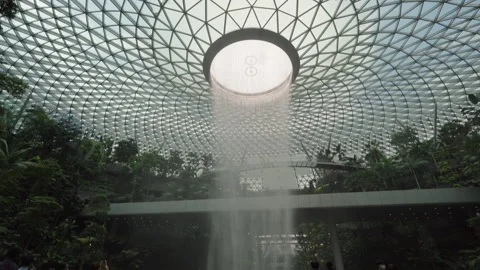 HSBC Rain Vortex Indoor waterfall, Changi International Airport nature theme  Video stock 250462599