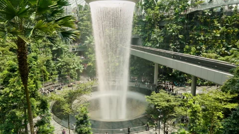 HSBC Rain Vortex Indoor waterfall, Changi International Airport nature theme  Video stock 250462655