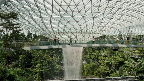 HSBC Rain Vortex Indoor waterfall, Changi International Airport nature theme  Stock-Footage 250462869