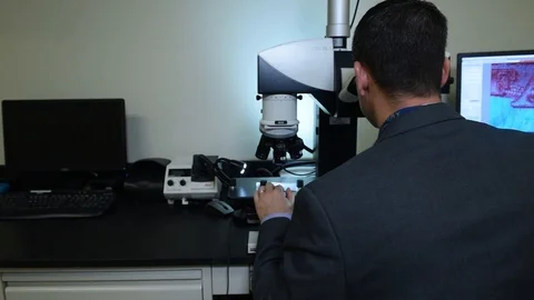 HSI staff analyzing document through microscope and computer monitor Stock Footage 107654241