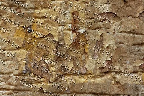 Html source codes 库存照片