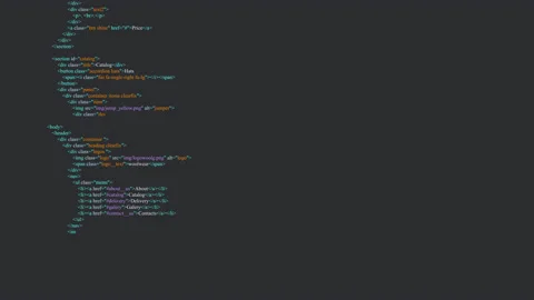 HTML Web Page Code typing. Programming code, software developer template Stock Footage 166637211