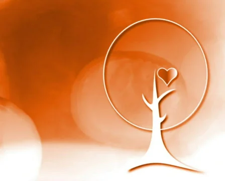 Htree04 pal Stock Footage