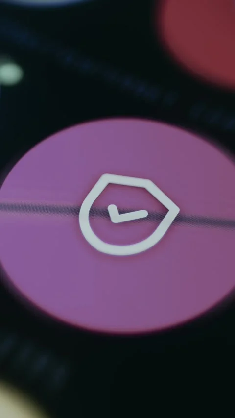 HTTPS icon represented by a checkmark within a shield Stock Footage 334935656