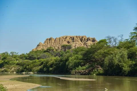 Huaca El Oro emerging from Bosque de Pomac dry forest Stock Photos