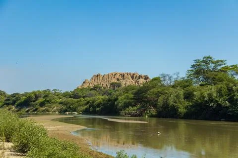 Huaca El Oro emerging from Bosque de Pomac dry forest Stock Photos