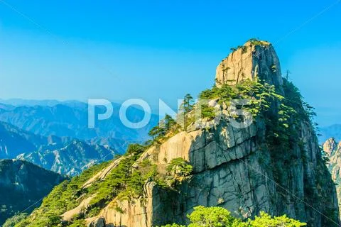 Huangshan mountains and trees Stock Photos