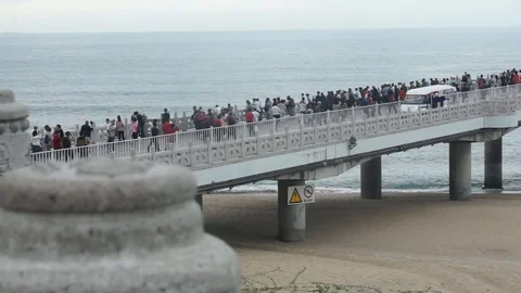 Huanin02 Stock Footage 103501260