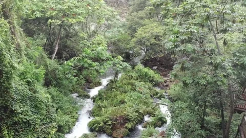 Huasteca Stock-Footage 130423756