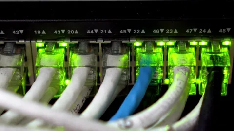 Hub Cable Network Close-up Ethernet Cables Connected to Modem Information and Vidéo 334586734