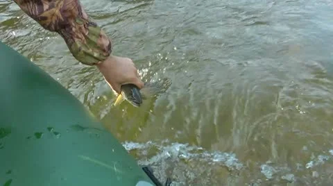 Hucho 2 Stock Footage 8908495