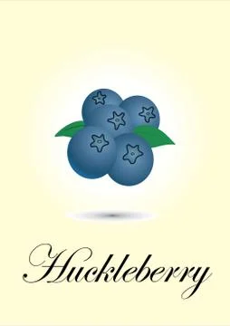 Huckleberry Stock Illustration