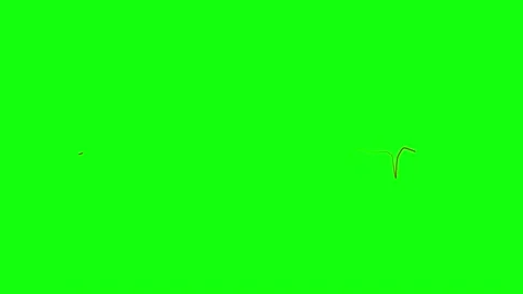 HUD cardio lines 94 Stock Footage 222387673