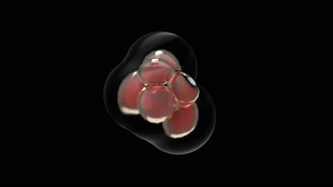 HUD cell core 8 Stock Footage 222387810