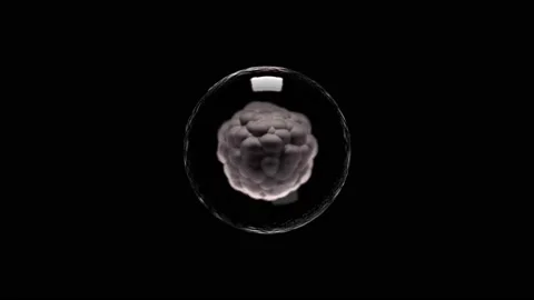 HUD cell core 9 Video stock 222387862