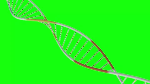 HUD DNA 100 Stock Footage 222613066