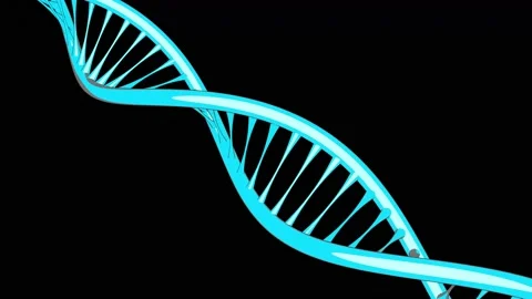HUD DNA 31 Stock Footage 222611838