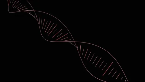 HUD DNA 37 Stock Footage 222611990