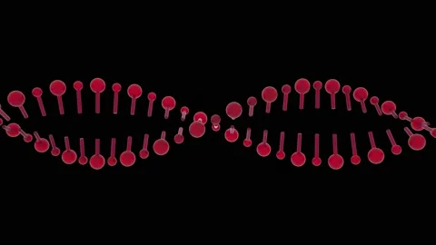 HUD DNA 43 Stock Footage 222612109
