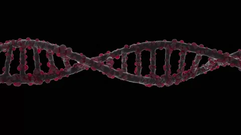HUD DNA 50 Stock Footage 222612112