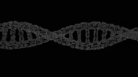 HUD DNA 54 Stock Footage 222612221