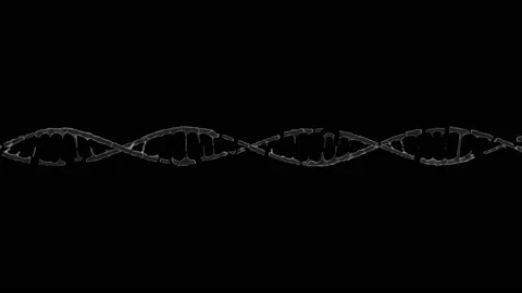 HUD DNA 55 Stock Footage 222612222