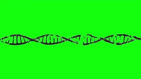 HUD DNA 80 Stock Footage 222612695