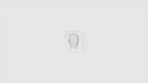 HUD element - animation of 3D human head. Stock Footage 244946896