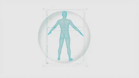 HUD element - animation of human body scanning. Stock Footage 241460982