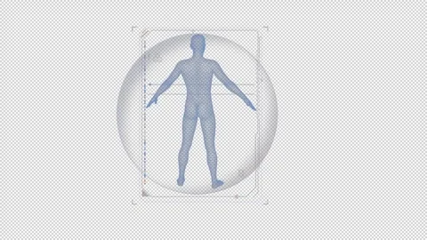 HUD element - animation of human body scanning. Stock Footage 242387275