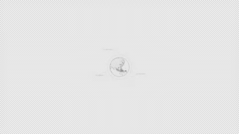 HUD element rotating globe with coordinate callouts Stock Footage 244948035
