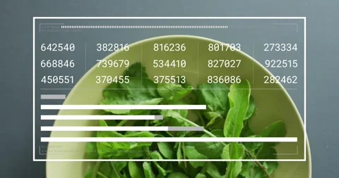 HUD frame appearing over pale bowl, numeric grid updating, bars extending, Stock Footage 328345746