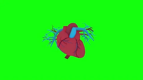 HUD Heart 61 Stock Footage 222807929