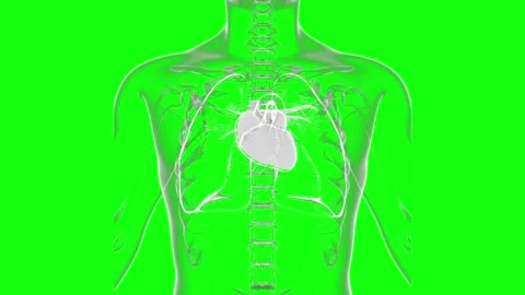 HUD Heart 63 Stock Footage 222807949