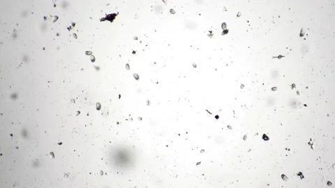 HUD Light Microscope 42 Stock Footage 222808285