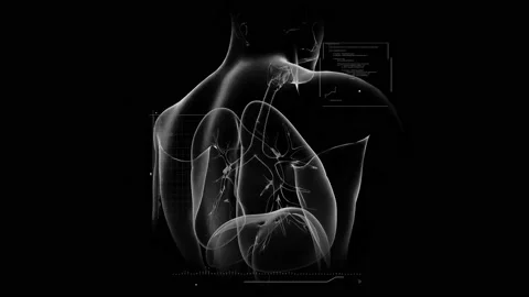 HUD Lungs 157 Stock Footage 223385904