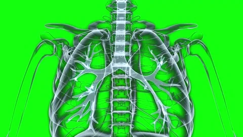 HUD Lungs 68 Stock Footage 223385895