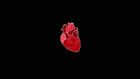 HUD Organs Heart 66 | Stock Video | Pond5