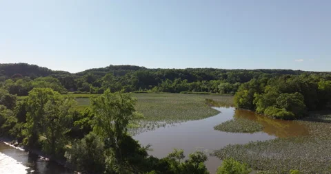 Hudson River to Marsh and Swamp Land at Kingston Point Stock Footage 329831276