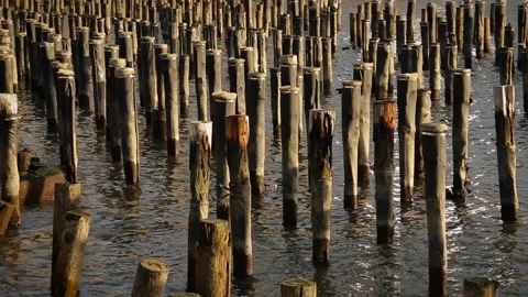 Hudson River Park old pier Stock Footage 236562927