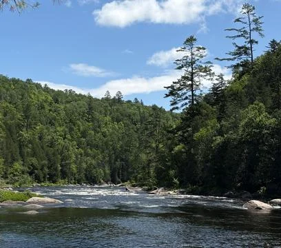 Hudson River Rapids With Trees and Clear Sky on a Sunny Day Stock Photos