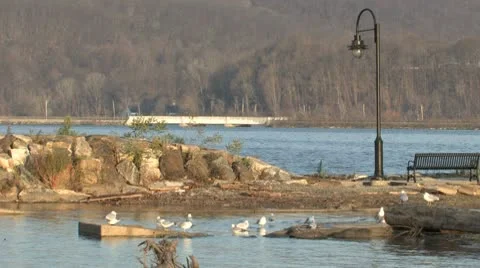 Hudson River with Train Video stock 10306212