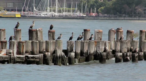Hudson River Wharf Stock Footage 35410763