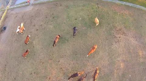 Hudson Valley 2K Aerials 스톡 동영상 45656544