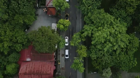 Hue city tree lined street top down aerial view and tilt up Stock Footage 336486884
